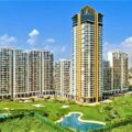 M3M Golf Estate Apartments, Gurgaon